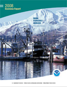 2008 Business Report Cover