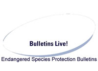 Bulletins Live