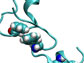 folding of a mutant protein