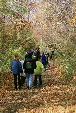 Students walking through woods