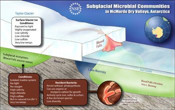 Illustration showing a cross-section of Blood Falls.