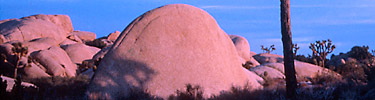 Sunset at Jumbo Rocks