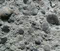 Photo of a slab of limestone that is covered with fossils.