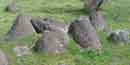 View of Melon Gravels found in fields and along the roads in Hagerman