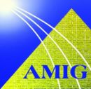 Arab Misr Insurance Group (AMIG)