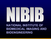 NIBIB - National Institute of Biomedical Imaging and Bioengineering