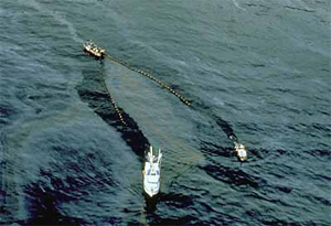 Two boats towing a collection boom