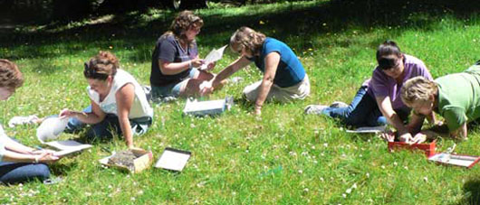 On a grassy field, teachers work in pairs at the 2005 teacher workshop held at Mount Rainier NP.