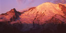 Northwest face of Mount Rainier and Emmons Glacier as seen from Sunrise.