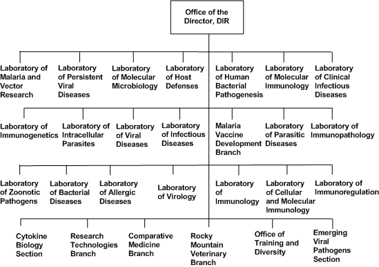 DIR Organizational Chart