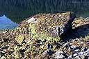 A large boulder (nicknamed Mearns Rock) in Prince William Sound, Alaska, which is being monitored for recovery from the Exxon Valdez oil spill.