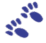 paw print