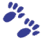 paw print