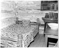 Roosevelt's cabin