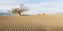 Death Valley sand dunes