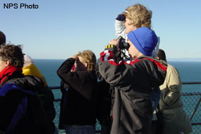 Whale Watchers at Point Reyes