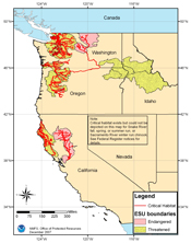 Chinook salmon critical habitat