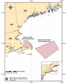 right whale critical habitat, northeast U.S.
