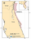 right whale critical habitat, southeast U.S.