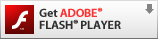 Get Adobe's Flash Player