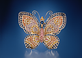 Conchita Sapphire Butterfly