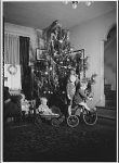 Children with tricycle and wagon next to Christmas tree