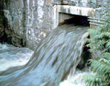 Picture of dirty water flowing out of a sewer pipe.