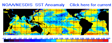 NOAA Current Sea Surface Temperature Anomalies