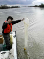 Zooplankton sampling to measure the biological production of the Sacramento-San Joaquin River Delta's channels