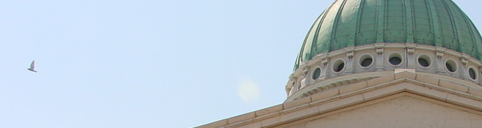 Old Courthouse dome with bird in background