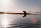 photo of a scientist sampling in the Gulf of Mexico