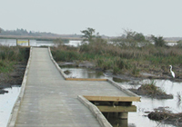 Galveston Bay board walk constructed over restored tidal wetlands