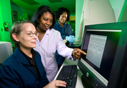 Using a Bio Rad imager and pulse field gel electrophoresis, veterinary medical officer (left) and technicians (center) classify strains that are being used to produce mutational maps: Click here for full photo caption.