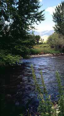 Lehmi River (Idaho)