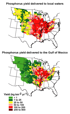 Phosphorus Yield in the Mississippi River Basin