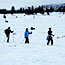 Skiers pass a bison