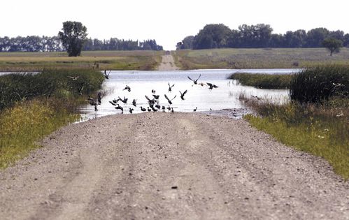 Devils Lake flowing into Stump Lake