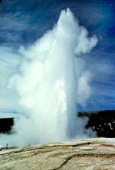 Old Faithful Geyser erupts.