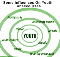 Some Influences on Youth Tobacco Uses - Buying risks, community norms, parents, friends, media, youth culture, securing prom date, school