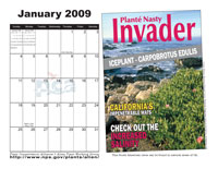 January 2009 calendar sample