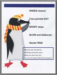 Example of safety poster developed through the Alliance.