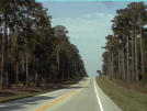 Picture of a highway in Tallahassee, FL