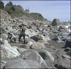 Two people investigate a rocky shoreline along the coast.