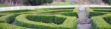 The formal garden at English Camp.