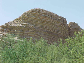 Layers of the Boquillas Formation