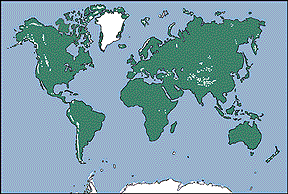 Map of where glaciers and icecaps exist on Earth. 