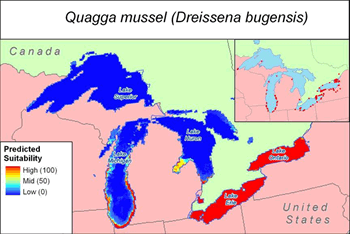 Quagga Mussel Map