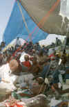 Several Haitian migrants under a makeshift tent being treated by a doctor.  Several of the migrants are receiving an IV.