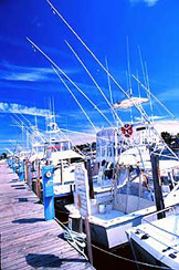 Charter Fishing Boats