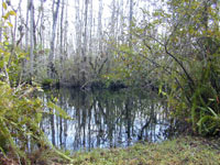 photo of small lake